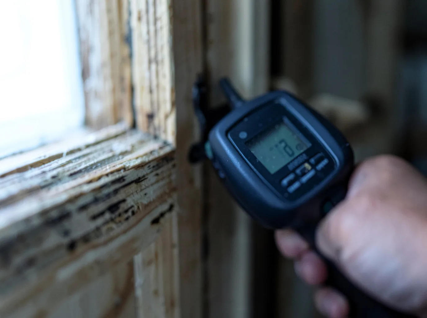 Water Damage Restoration Oakman, AL FAQs